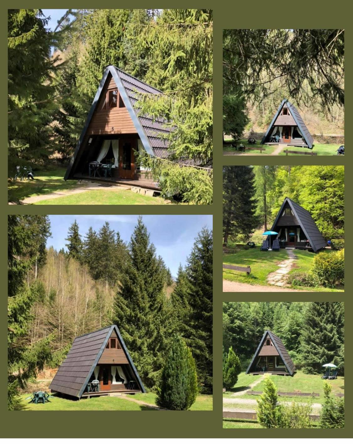 Lautenthal Ferienhaeuser Am Waldschloesschen מראה חיצוני תמונה