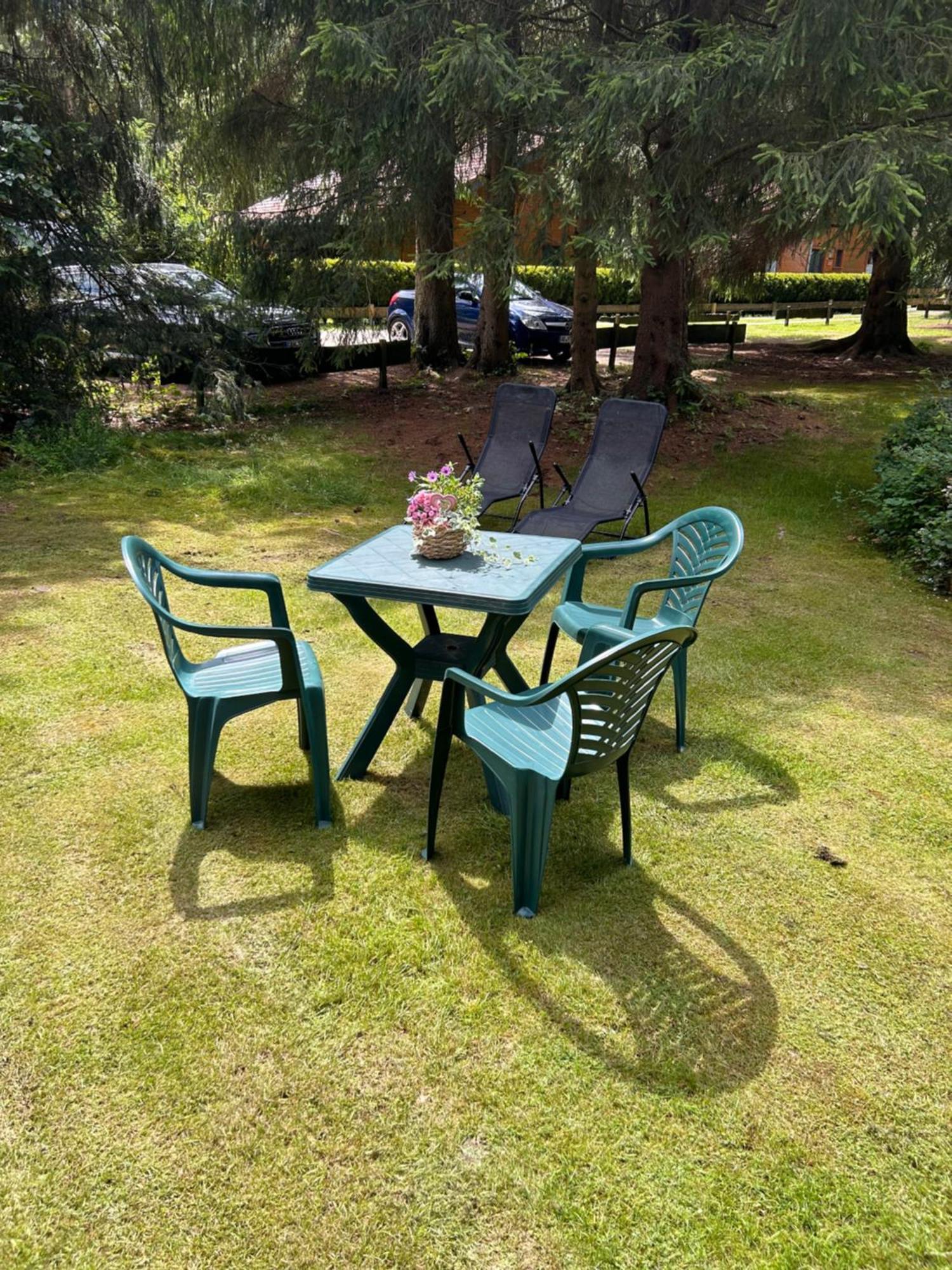 Lautenthal Ferienhaeuser Am Waldschloesschen מראה חיצוני תמונה