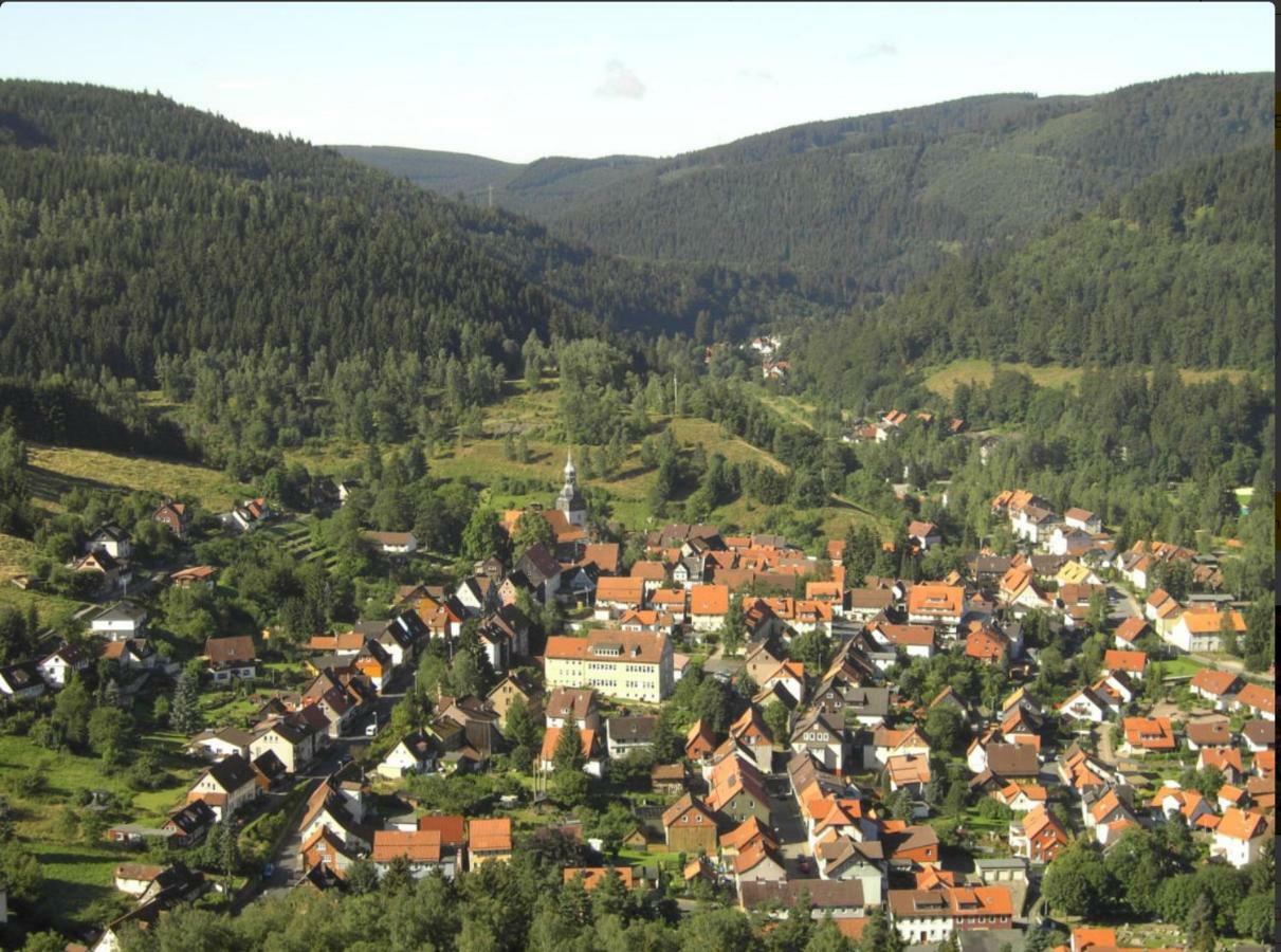 Lautenthal Ferienhaeuser Am Waldschloesschen מראה חיצוני תמונה