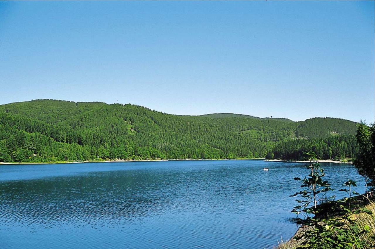 Lautenthal Ferienhaeuser Am Waldschloesschen מראה חיצוני תמונה