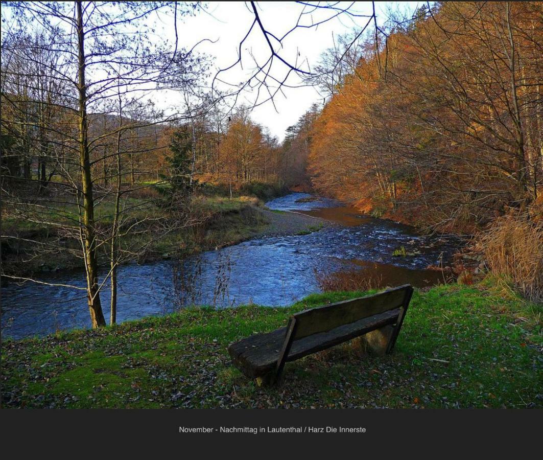 Lautenthal Ferienhaeuser Am Waldschloesschen מראה חיצוני תמונה