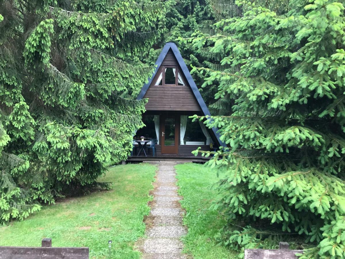 Lautenthal Ferienhaeuser Am Waldschloesschen מראה חיצוני תמונה